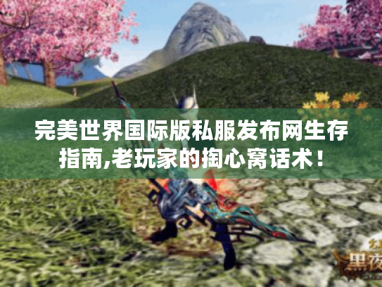 完美世界国际版私服发布网生存指南,老玩家的掏心窝话术! 完美世界国际版私服发布网生存指南,老玩家的掏心窝话术!