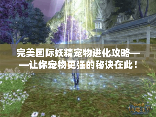 完美国际妖精宠物进化攻略——让你宠物更强的秘诀在此! 完美国际妖精宠物进化攻略——让你宠物更强的秘诀在此!