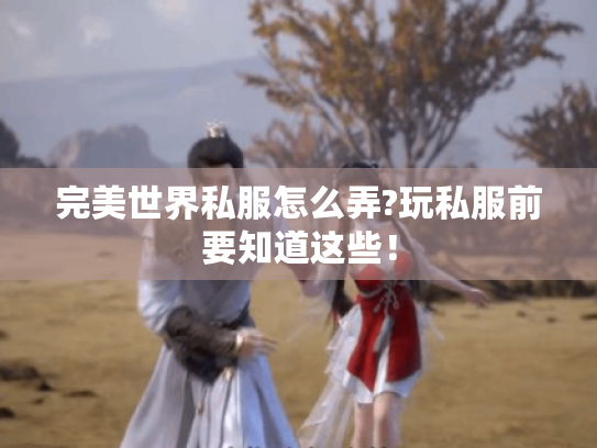 完美世界私服怎么弄?玩私服前要知道这些! 完美世界私服怎么弄?玩私服前要知道这些!