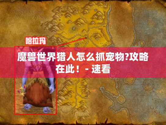 魔兽世界猎人怎么抓宠物?攻略在此!- 速看 魔兽世界猎人怎么抓宠物?攻略在此!- 速看