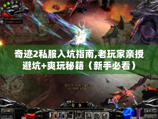 奇迹2私服入坑指南,老玩家亲授避坑+爽玩秘籍(新手必看) 奇迹2私服入坑指南,老玩家亲授避坑+爽玩秘籍(新手必看)