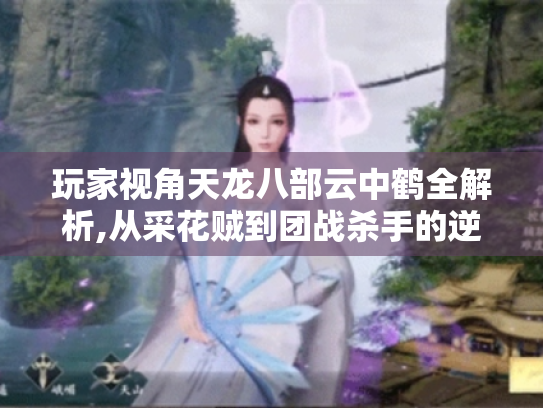 玩家视角天龙八部云中鹤全解析,从采花贼到团战杀手的逆袭之路 玩家视角天龙八部云中鹤全解析,从采花贼到团战杀手的逆袭之路