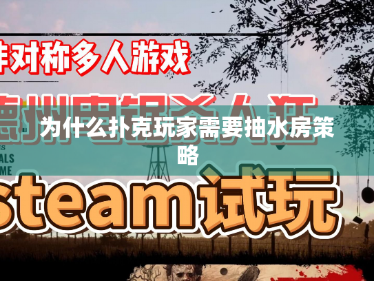 为什么扑克玩家需要抽水房策略 为什么扑克玩家需要抽水房策略