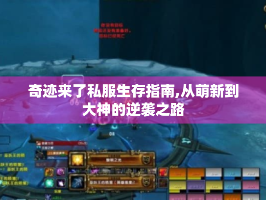 奇迹来了私服生存指南,从萌新到大神的逆袭之路 奇迹来了私服生存指南,从萌新到大神的逆袭之路