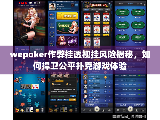wepoker作弊挂透视挂风险揭秘,如何捍卫公平扑克游戏体验 wepoker作弊挂透视挂风险揭秘,如何捍卫公平扑克游戏体验