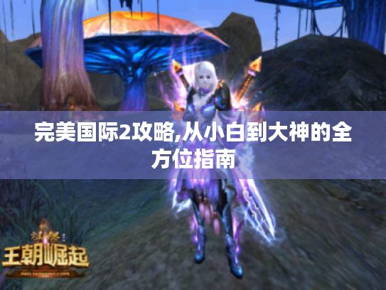 完美国际2攻略,从小白到大神的全方位指南
