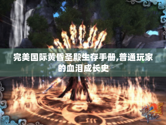 完美国际黄昏圣殿生存手册,普通玩家的血泪成长史 完美国际黄昏圣殿生存手册,普通玩家的血泪成长史