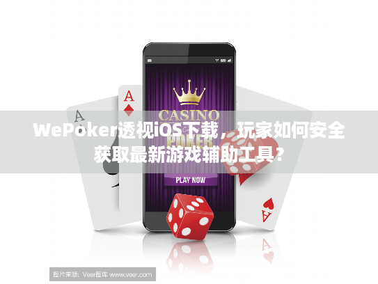 WePoker透视iOS下载，玩家如何安全获取最新游戏辅助工具？