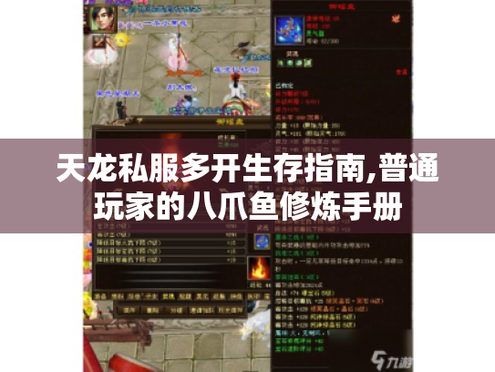 天龙私服多开生存指南,普通玩家的八爪鱼修炼手册