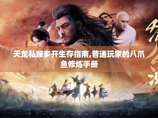 天龙私服多开生存指南,普通玩家的八爪鱼修炼手册