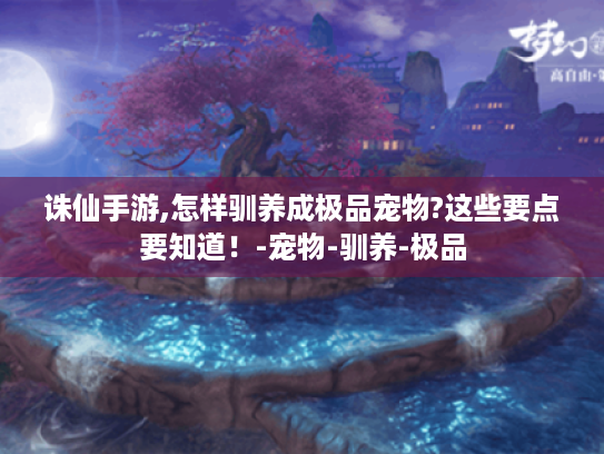 诛仙手游,怎样驯养成极品宠物?这些要点要知道!-宠物-驯养-极品 诛仙手游,怎样驯养成极品宠物?这些要点要知道!-宠物-驯养-极品