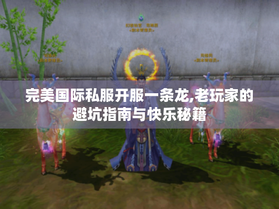 完美国际私服开服一条龙,老玩家的避坑指南与快乐秘籍 完美国际私服开服一条龙,老玩家的避坑指南与快乐秘籍