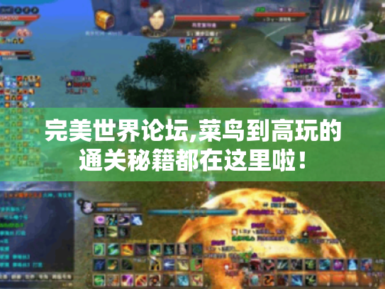 完美世界论坛,菜鸟到高玩的通关秘籍都在这里啦! 完美世界论坛,菜鸟到高玩的通关秘籍都在这里啦!