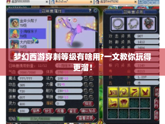 梦幻西游穿刺等级有啥用?一文教你玩得更溜! 梦幻西游穿刺等级有啥用?一文教你玩得更溜!