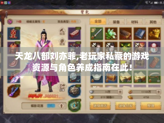 天龙八部刘亦菲,老玩家私藏的游戏资源与角色养成指南在此！