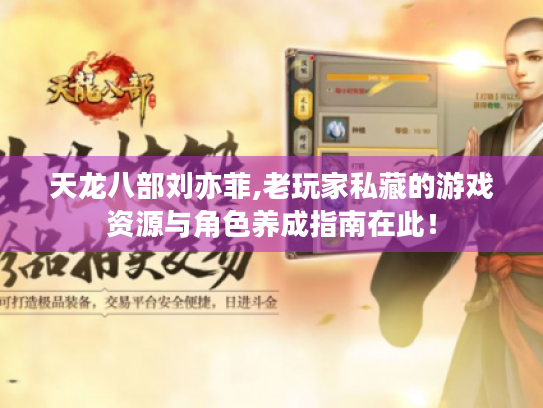 天龙八部刘亦菲,老玩家私藏的游戏资源与角色养成指南在此！