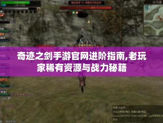 奇迹之剑手游官网进阶指南,老玩家稀有资源与战力秘籍 奇迹之剑手游官网进阶指南,老玩家稀有资源与战力秘籍