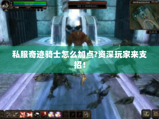 私服奇迹骑士怎么加点?资深玩家来支招! 私服奇迹骑士怎么加点?资深玩家来支招!