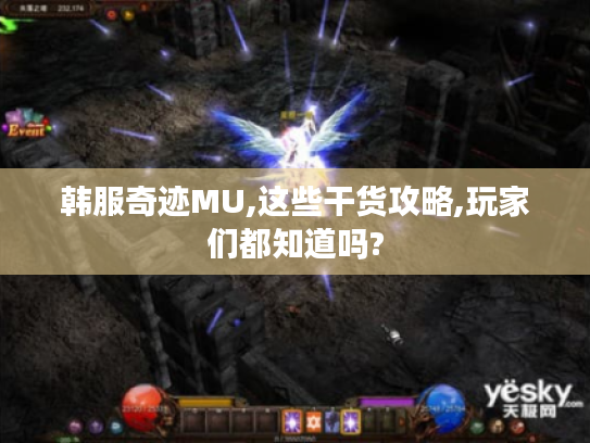韩服奇迹MU,这些干货攻略,玩家们都知道吗? 韩服奇迹MU,这些干货攻略,玩家们都知道吗?