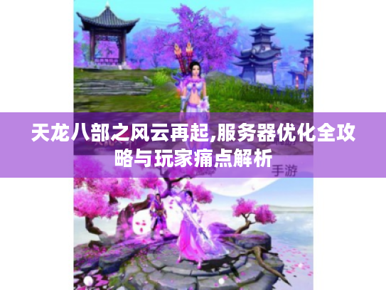 天龙八部之风云再起,服务器优化全攻略与玩家痛点解析 天龙八部之风云再起,服务器优化全攻略与玩家痛点解析