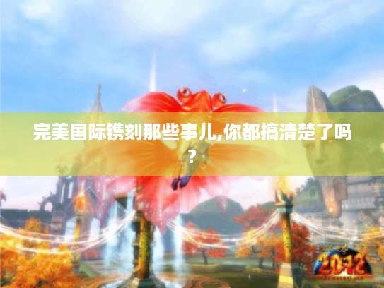 完美国际镌刻那些事儿,你都搞清楚了吗? 完美国际镌刻那些事儿,你都搞清楚了吗?