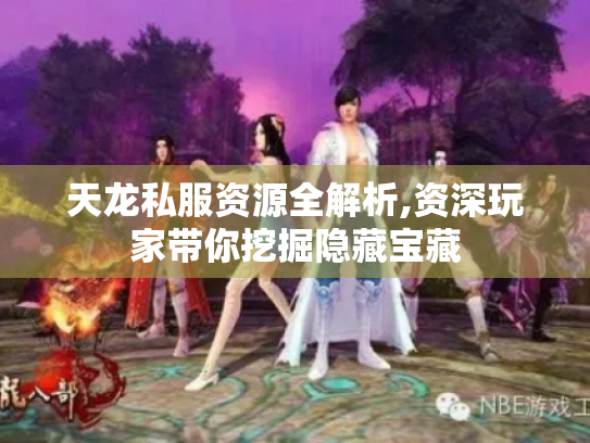 天龙私服资源全解析,资深玩家带你挖掘隐藏宝藏 天龙私服资源全解析,资深玩家带你挖掘隐藏宝藏