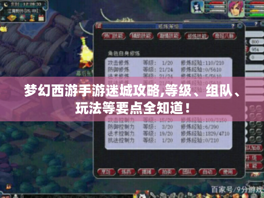 梦幻西游手游迷城攻略,等级、组队、玩法等要点全知道！