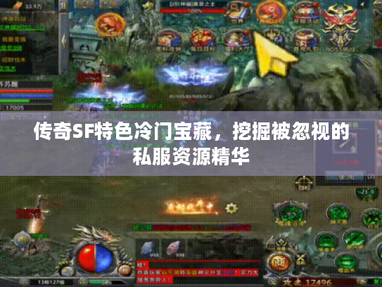 传奇SF特色冷门宝藏,挖掘被忽视的私服资源精华 传奇SF特色冷门宝藏,挖掘被忽视的私服资源精华