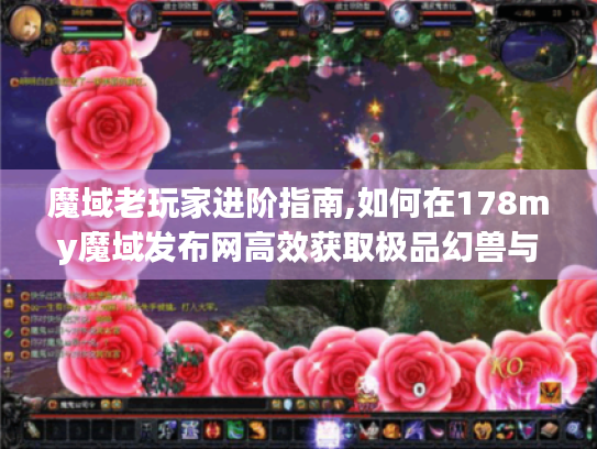 魔域老玩家进阶指南,如何在178my魔域发布网高效获取极品幻兽与稀有装备 魔域老玩家进阶指南,如何在178my魔域发布网高效获取极品幻兽与稀有装备