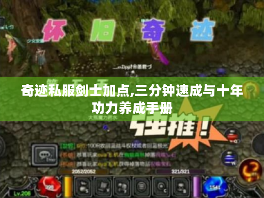 奇迹私服剑士加点,三分钟速成与十年功力养成手册 奇迹私服剑士加点,三分钟速成与十年功力养成手册
