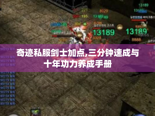 奇迹私服剑士加点,三分钟速成与十年功力养成手册 奇迹私服剑士加点,三分钟速成与十年功力养成手册