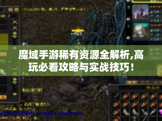 魔域手游稀有资源全解析,高玩必看攻略与实战技巧! 魔域手游稀有资源全解析,高玩必看攻略与实战技巧!