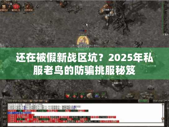 还在被假新战区坑?2025年私服老鸟的防骗挑服秘笈 还在被假新战区坑?2025年私服老鸟的防骗挑服秘笈
