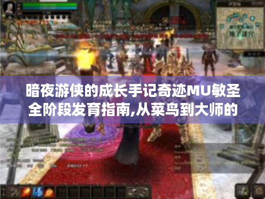 暗夜游侠的成长手记奇迹MU敏圣全阶段发育指南,从菜鸟到大师的蜕变之路 暗夜游侠的成长手记奇迹MU敏圣全阶段发育指南,从菜鸟到大师的蜕变之路