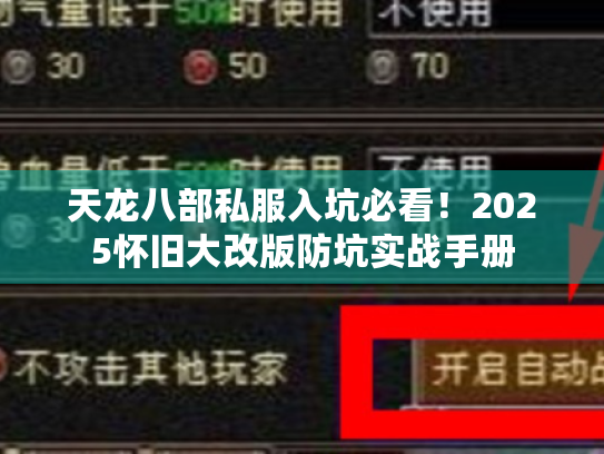 天龙八部私服入坑必看!2025怀旧大改版防坑实战手册 天龙八部私服入坑必看!2025怀旧大改版防坑实战手册