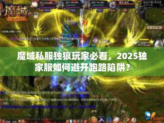 魔域私服独狼玩家必看,2025独家服如何避开跑路陷阱? 魔域私服独狼玩家必看,2025独家服如何避开跑路陷阱?