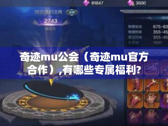 奇迹mu公会（奇迹mu官方合作）,有哪些专属福利?
