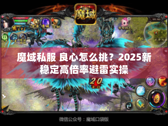 魔域私服 良心怎么挑？2025新稳定高倍率避雷实操