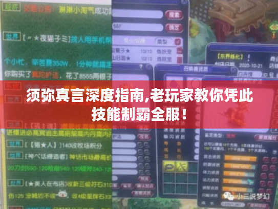 须弥真言深度指南,老玩家教你凭此技能制霸全服! 须弥真言深度指南,老玩家教你凭此技能制霸全服!