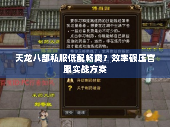 天龙八部私服低配畅爽?效率碾压官服实战方案 天龙八部私服低配畅爽?效率碾压官服实战方案