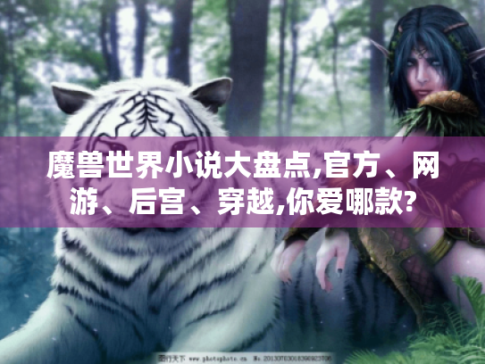 魔兽世界小说大盘点,官方、网游、后宫、穿越,你爱哪款? 魔兽世界小说大盘点,官方、网游、后宫、穿越,你爱哪款?