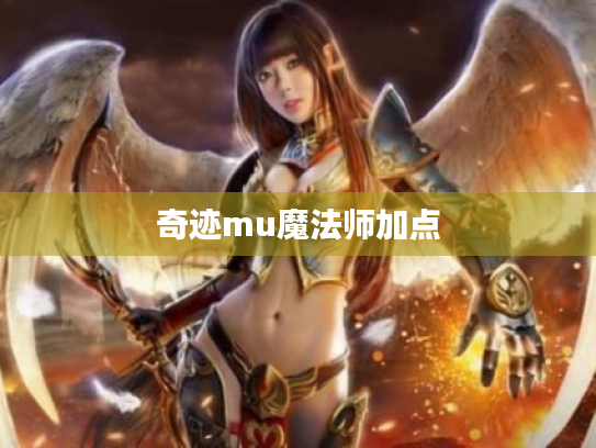 奇迹mu魔法师加点 奇迹mu魔法师加点