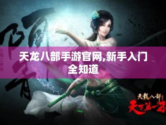 天龙八部手游官网,新手入门全知道 天龙八部手游官网,新手入门全知道