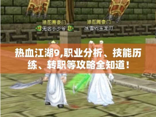 热血江湖9,职业分析、技能历练、转职等攻略全知道! 热血江湖9,职业分析、技能历练、转职等攻略全知道!