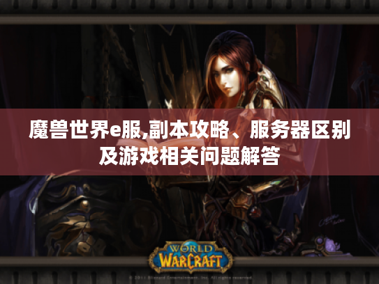 魔兽世界e服,副本攻略、服务器区别及游戏相关问题解答 魔兽世界e服,副本攻略、服务器区别及游戏相关问题解答