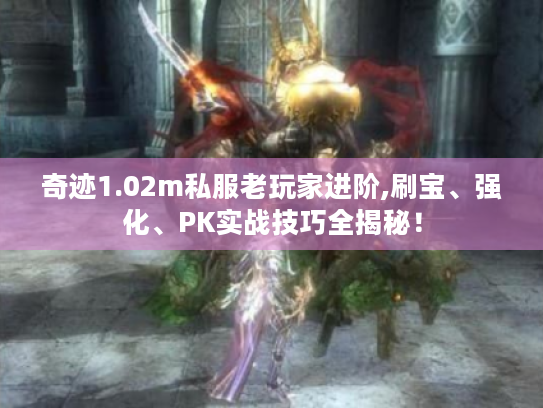 奇迹1.02m私服老玩家进阶,刷宝、强化、PK实战技巧全揭秘! 奇迹1.02m私服老玩家进阶,刷宝、强化、PK实战技巧全揭秘!