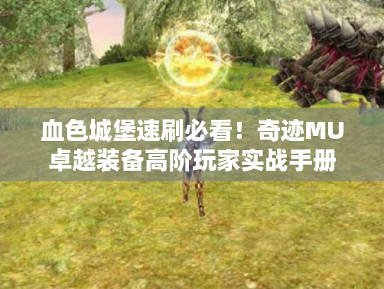 血色城堡速刷必看!奇迹MU卓越装备高阶玩家实战手册 血色城堡速刷必看!奇迹MU卓越装备高阶玩家实战手册