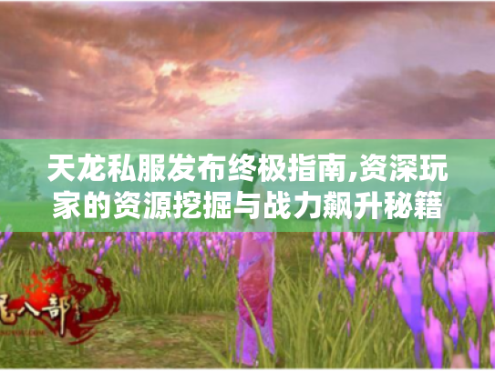 天龙私服发布终极指南,资深玩家的资源挖掘与战力飙升秘籍