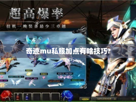 奇迹mu私服加点有啥技巧? 奇迹mu私服加点有啥技巧?