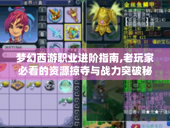 梦幻西游职业进阶指南,老玩家必看的资源掠夺与战力突破秘籍